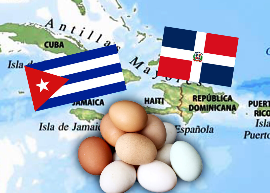 República Dominicana reinicia las exportaciones de huevos hacia Cuba República Dominicana reinicia las exportaciones de huevos hacia Cuba