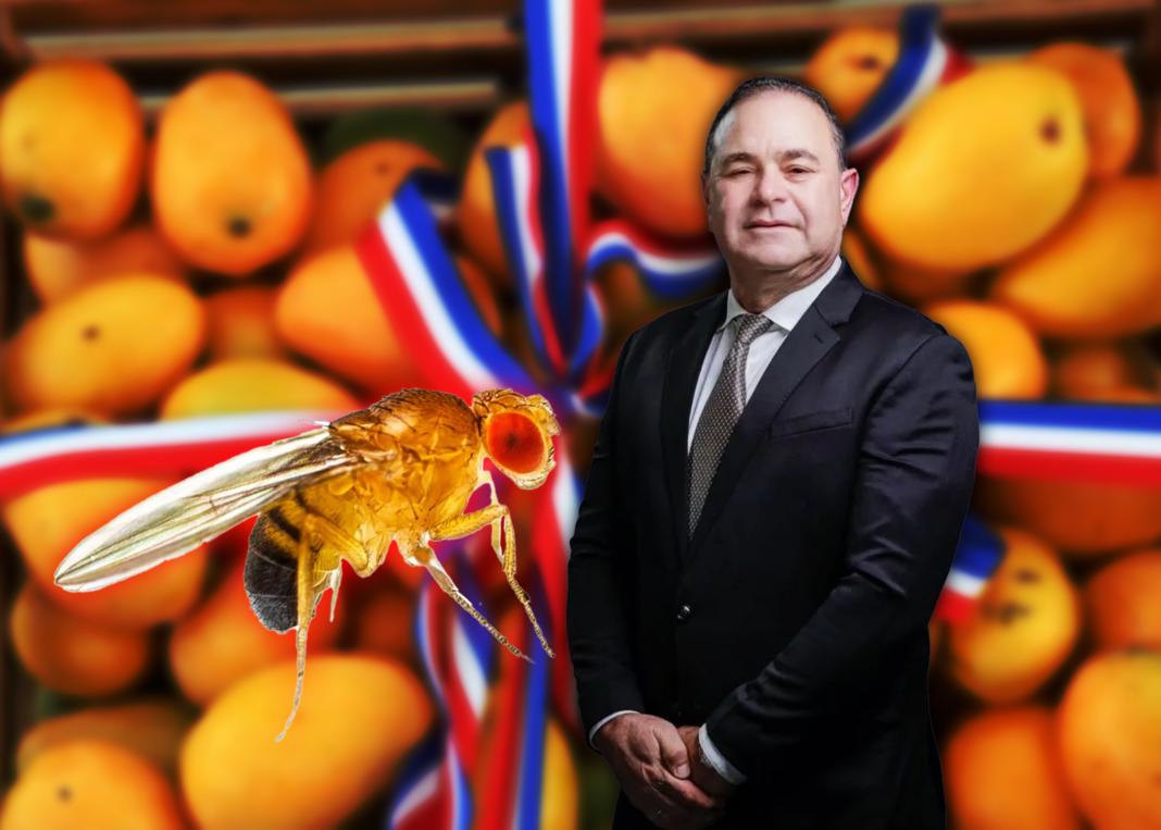 Ministro de agricultura estima que para el mes de octubre se regularizará la situación con la Ministro de agricultura estima que para el mes de octubre se regularizará la situación con la "mosca de la fruta"