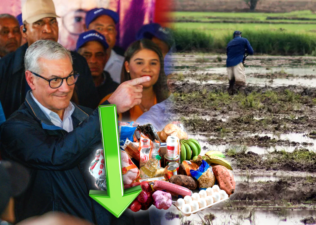 Gonzalo Castillo promete fortalecer el sector agropecuario para garantizar alimentos a bajo costo Gonzalo Castillo promete fortalecer el sector agropecuario para garantizar alimentos a bajo costo