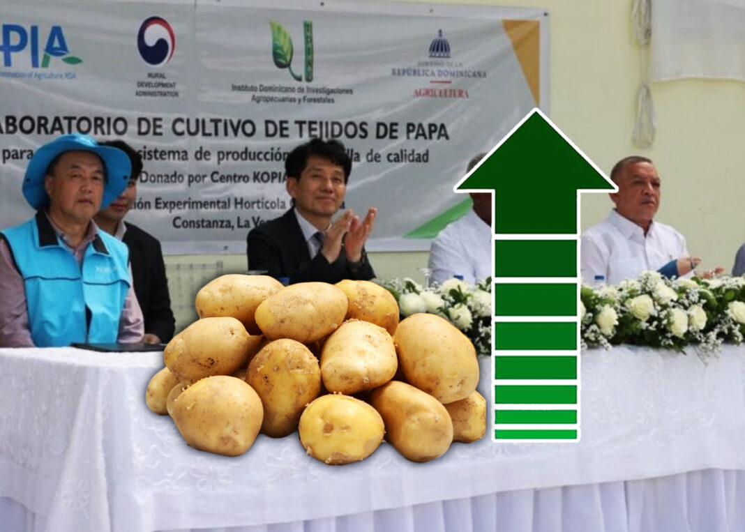 Laboratorio de semilla promete mejorar la calidad de la papa Laboratorio de semilla promete mejorar la calidad de la papa
